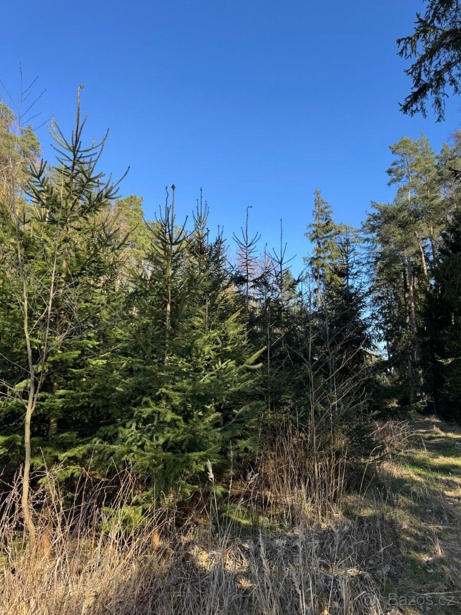 Prodej pozemek pro bydlení - Soběslav, 392 01