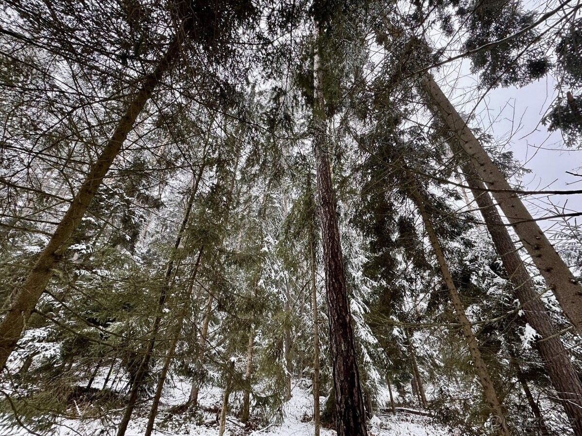 Pozemky pro bydlení, Koloveč, 345 43