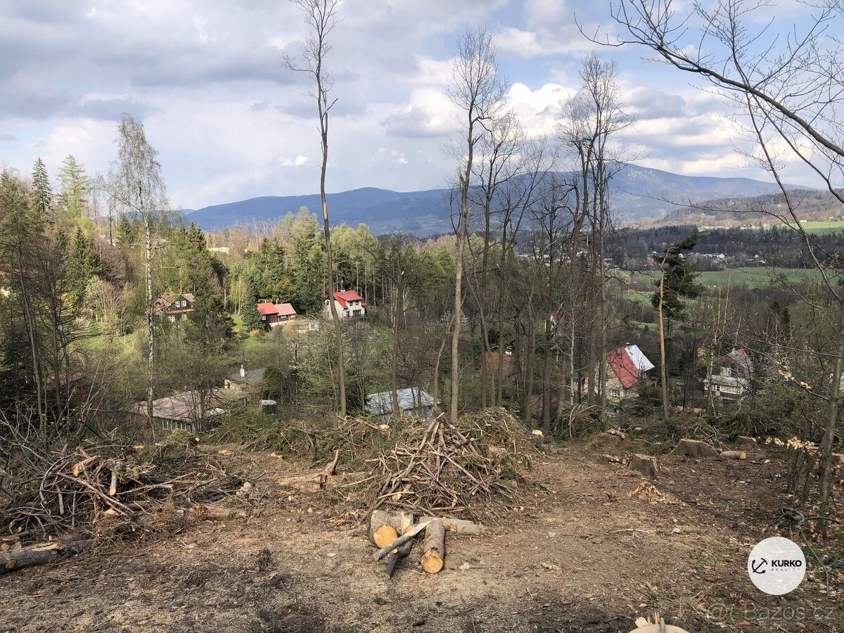 Pozemky pro bydlení, Čeladná, 739 12