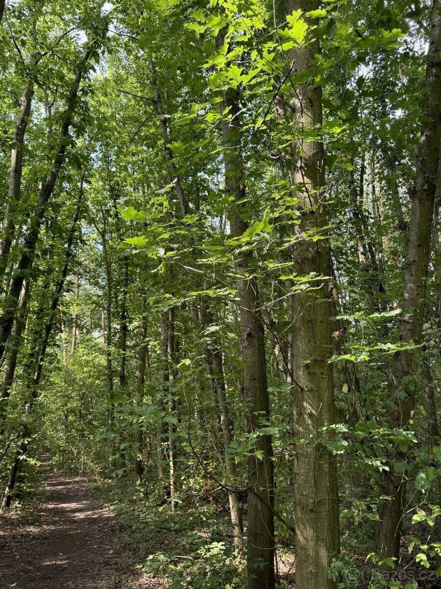 Pozemky pro bydlení, Pardubice, 530 02