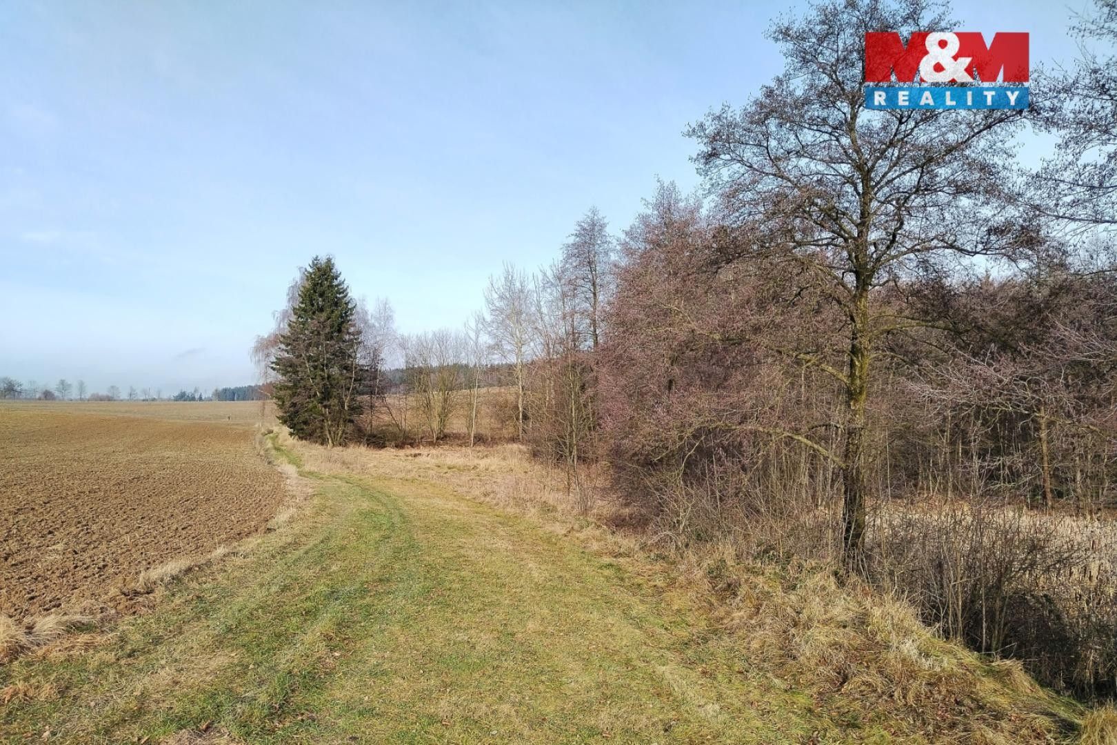 Prodej rybník - Velká Losenice