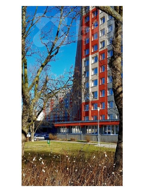 Byt 1+1 · 34 m² · Javorová 3096, Most - 3