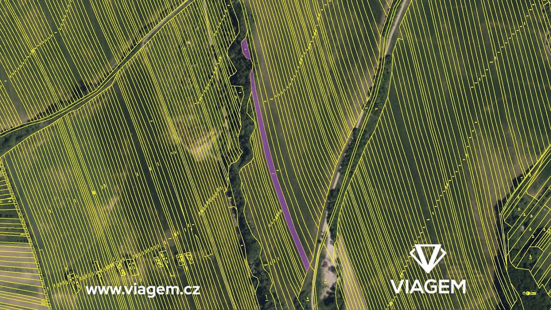 Zemědělský pozemek · Hrubá Vrbka, okres Hodonín, Jihomoravský kraj - 4