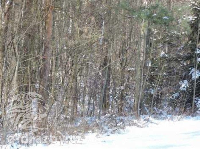 Prodej pozemek - Hamr na Jezeře, 23 639 m²