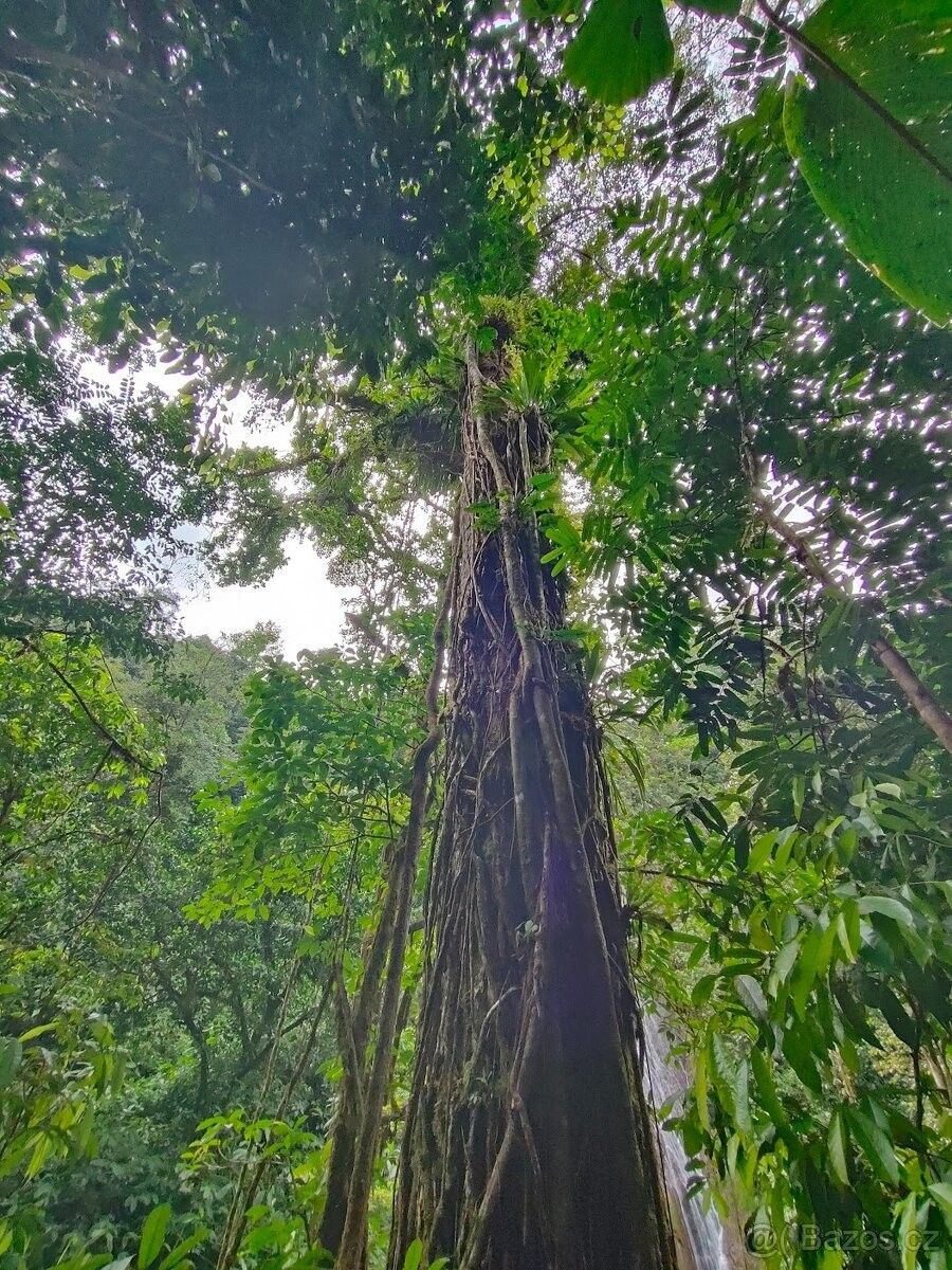 Prodej pozemek pro bydlení - 987 66, Zahraničí