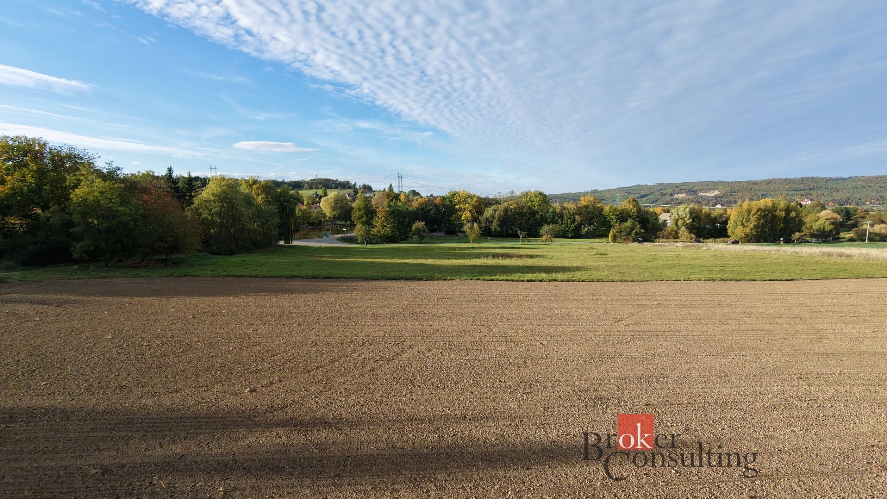 Prodej louka - Lešany, okres Benešov - 5