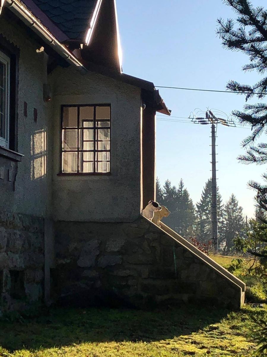 Chaty, Nová Ves nad Nisou - Nová Ves nad Nisou, Liberecký kraj - 2