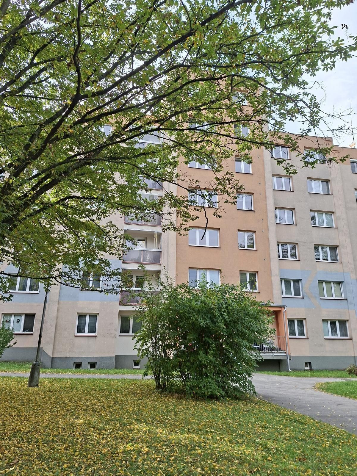 Byt 2+1, 54 m²