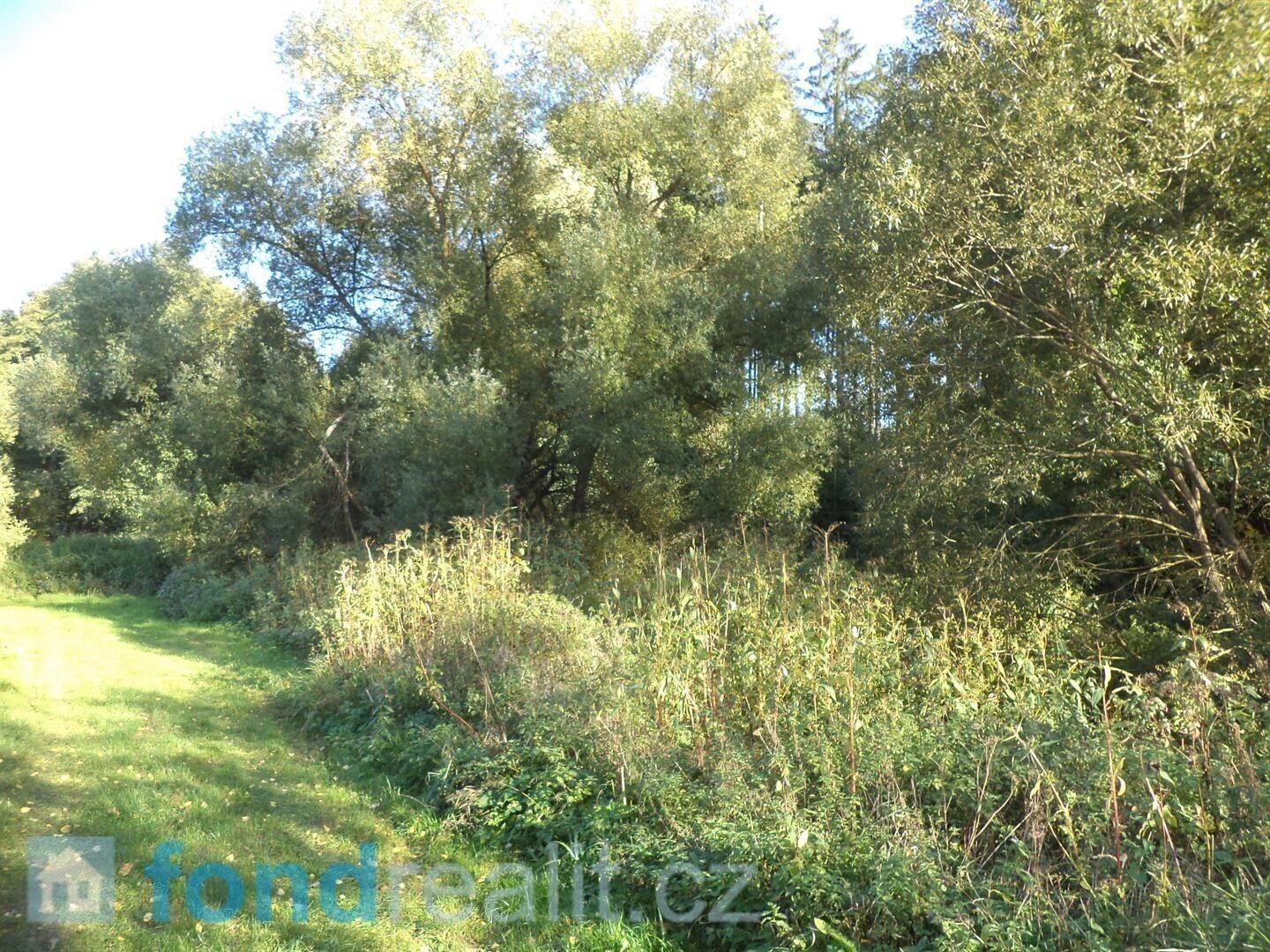 Ostatní, Oldřiš, Blažejov, 313 m²