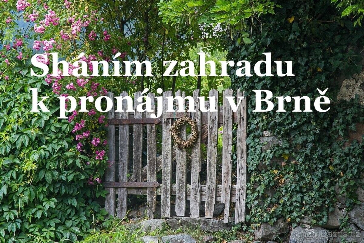 Zahrady, Brno, 602 00