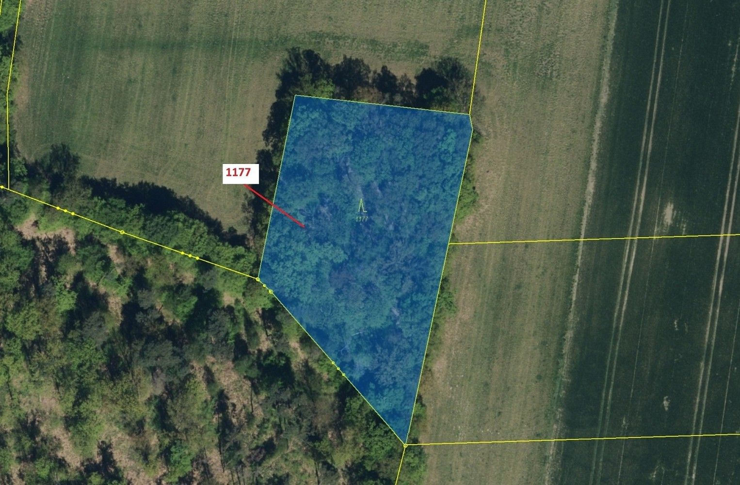 Prodej les - Vlčí Habřina, okres Pardubice, Pardubický kraj - 2