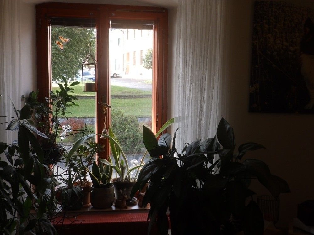 Pronájem byt - Zbraslavice, 285 21