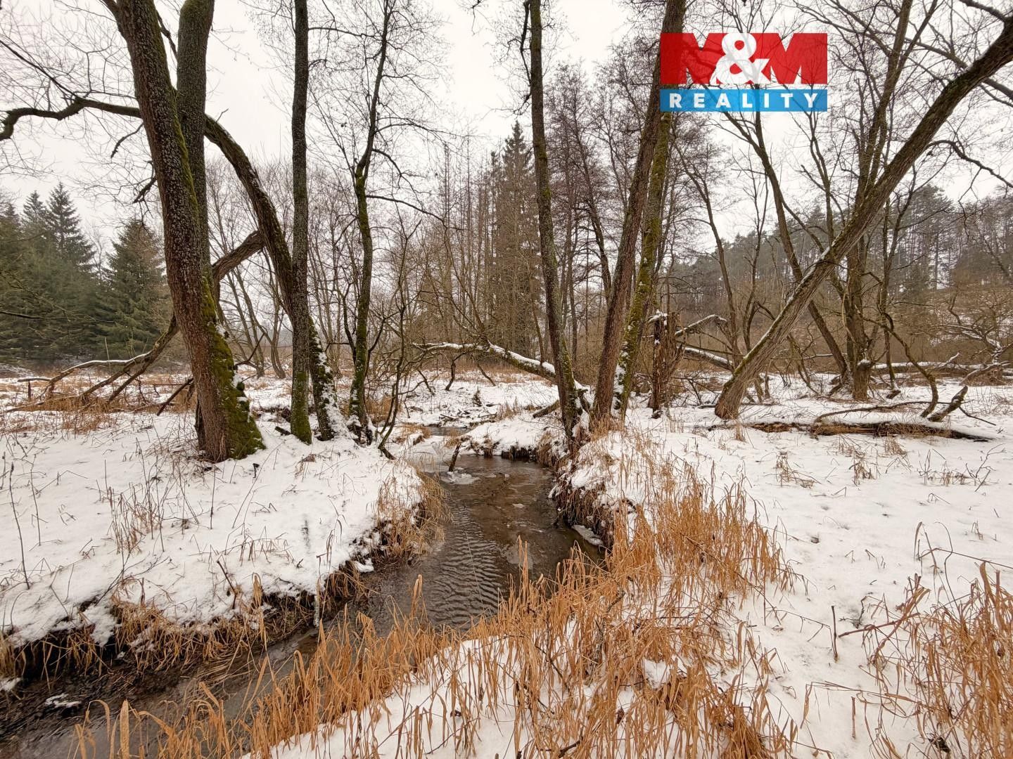 Rybníky, Pořín, Dolní Hořice