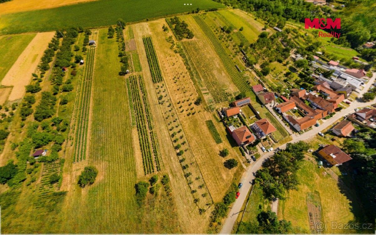 Pozemky pro bydlení, Borkovany, 691 75 - 2