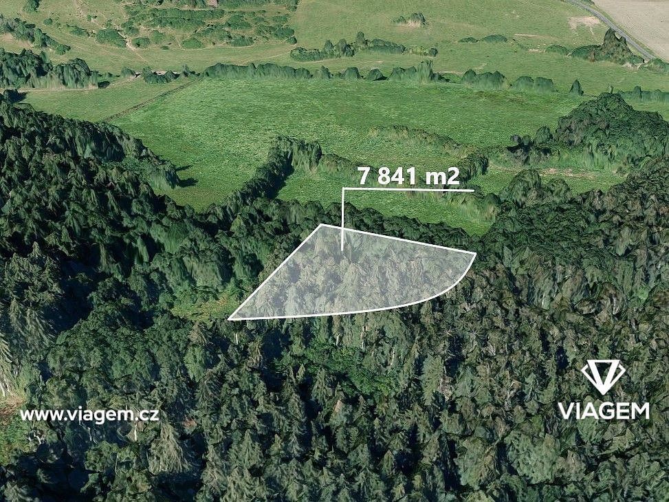 Les · Bukovník, okres Klatovy, Plzeňský kraj - 1