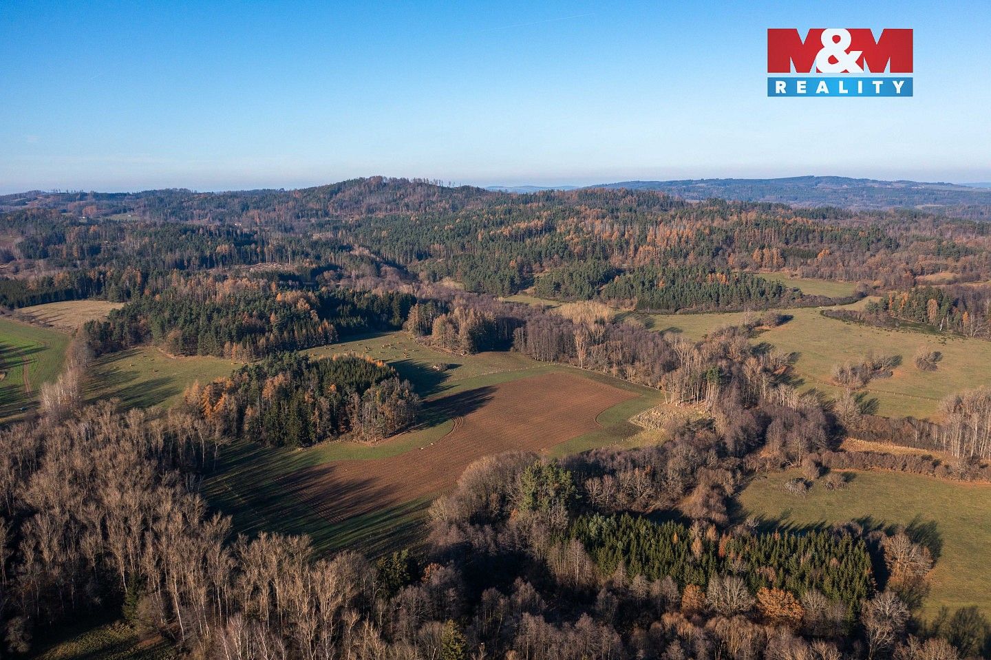 Lesy, Nalžovské Hory - Nalžovy, okres Klatovy, Plzeňský kraj - 2