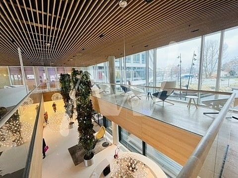 Pronájem kancelář - Praha - Holešovice, okres Praha 7, Hlavní město Praha, 648 m² - 5