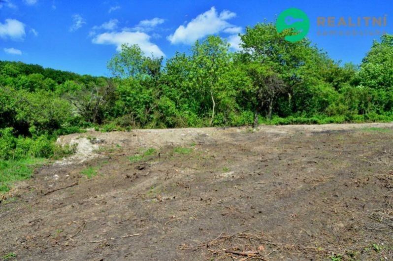 Prodej zahrada - Oparno, Velemín, 1 600 m² - 5