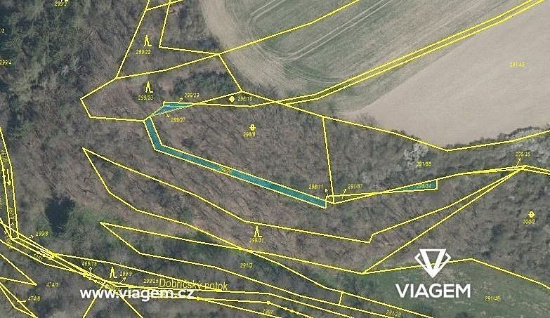 Lesy, Kaceřov, okres Plzeň-sever, Plzeňský kraj - 1