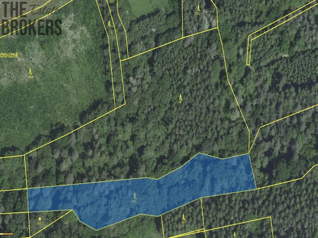 Prodej les - Hracholusky, 21 836 m² - 5