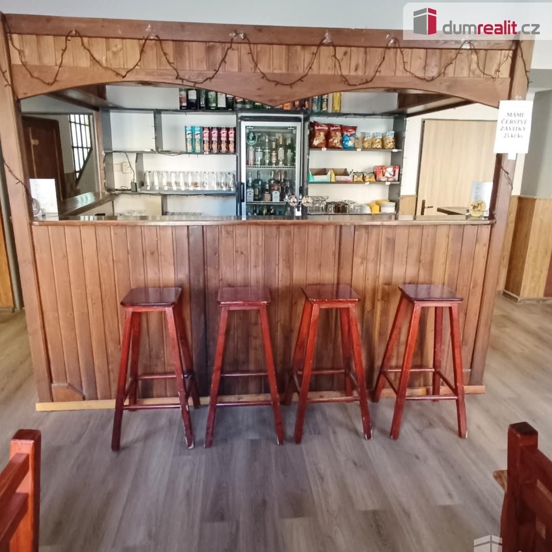 Restaurace · 260 m² · Vilsnická, Děčín - 4