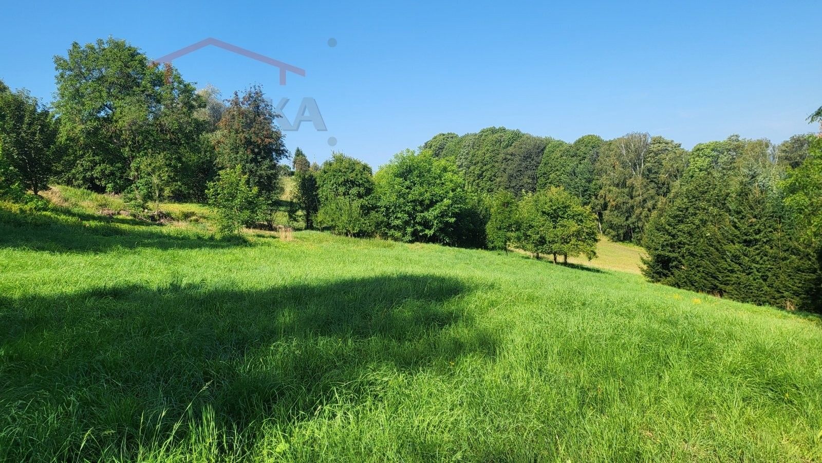 Prodej pozemek pro bydlení - Příkrý, 3 186 m² - 5