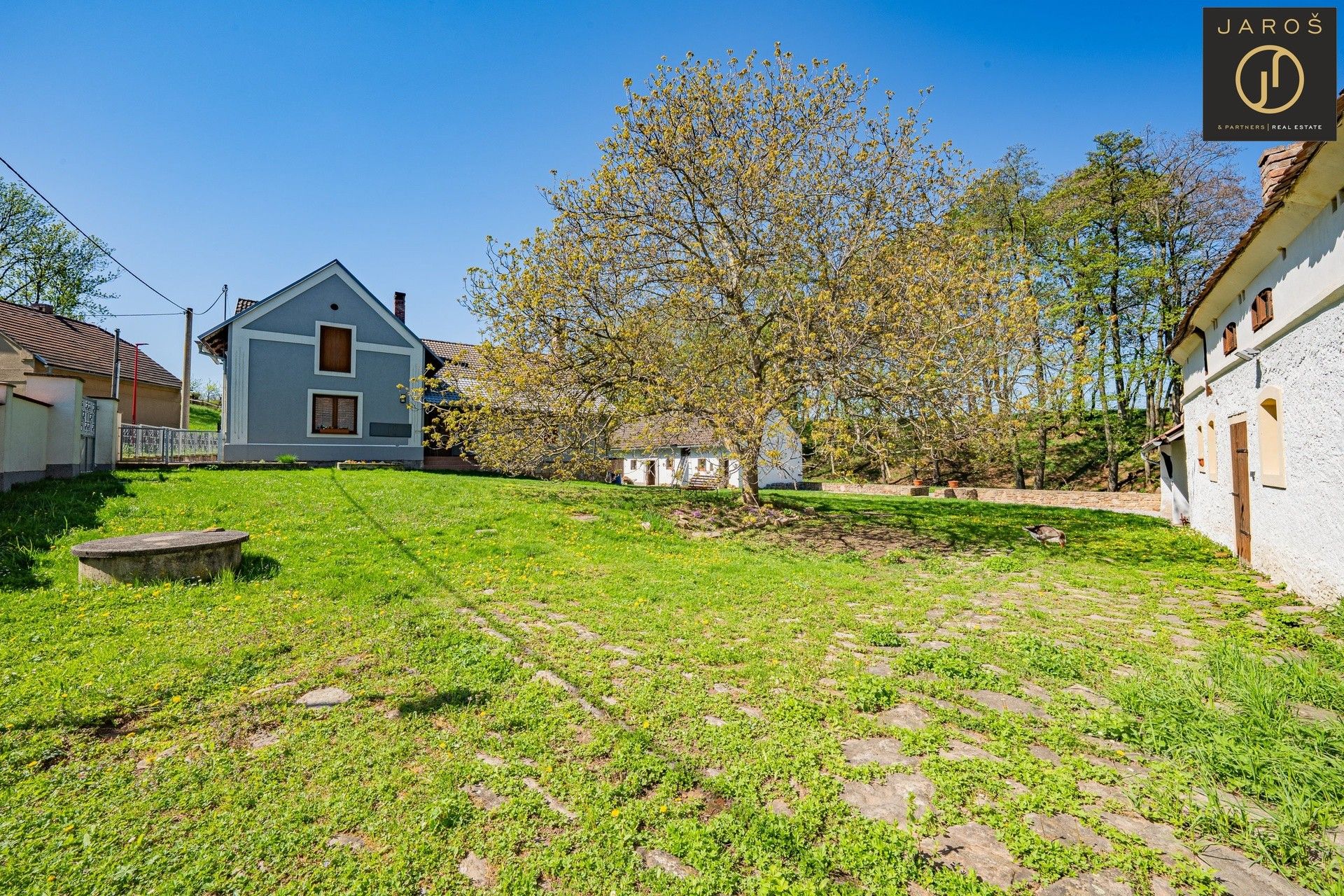 Prodej zemědělská usedlost - Červené Pečky Bořetice, 167 m² - 5