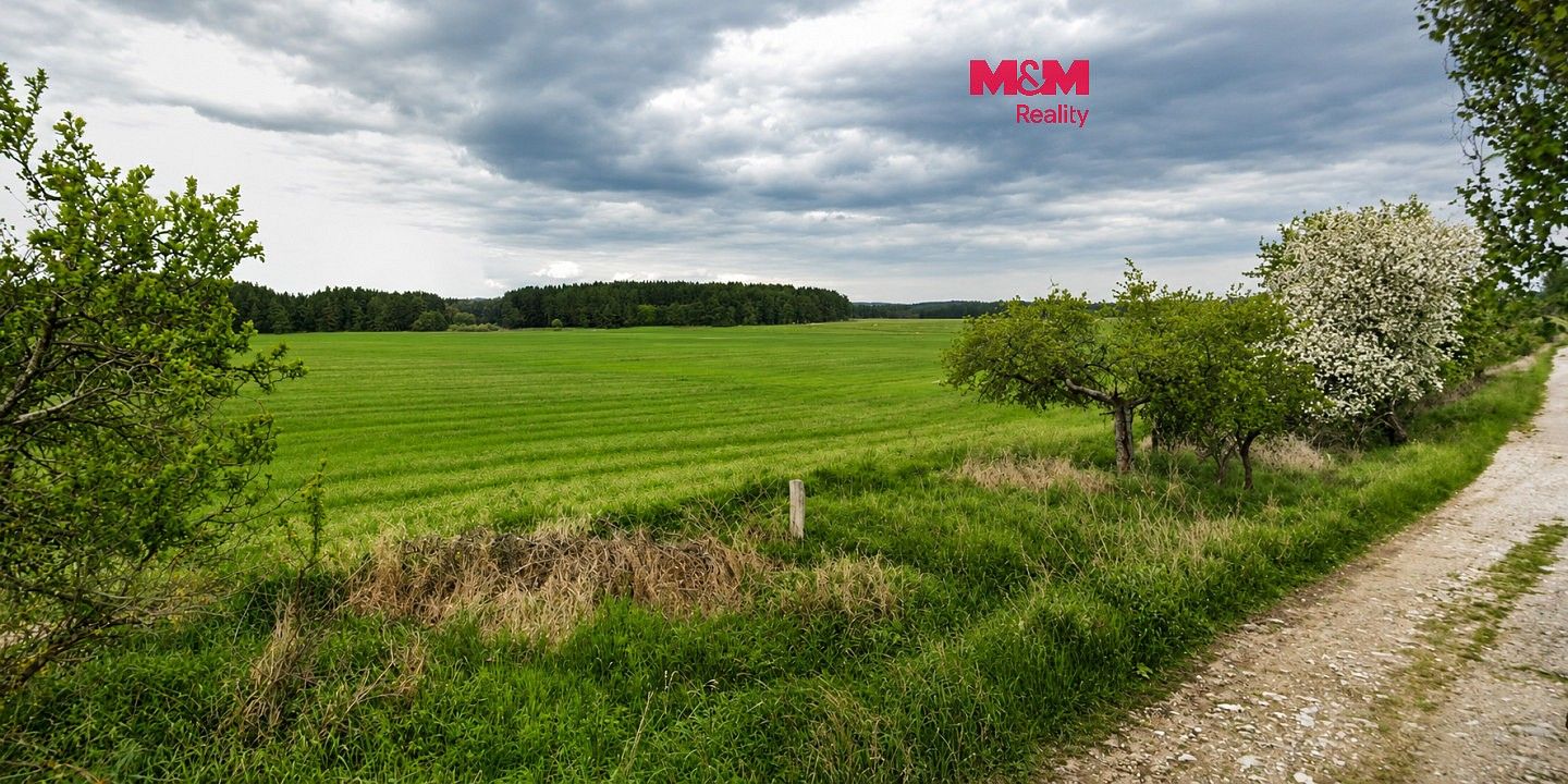 Zemědělské pozemky, Tisová, okres Tachov, Plzeňský kraj - 1