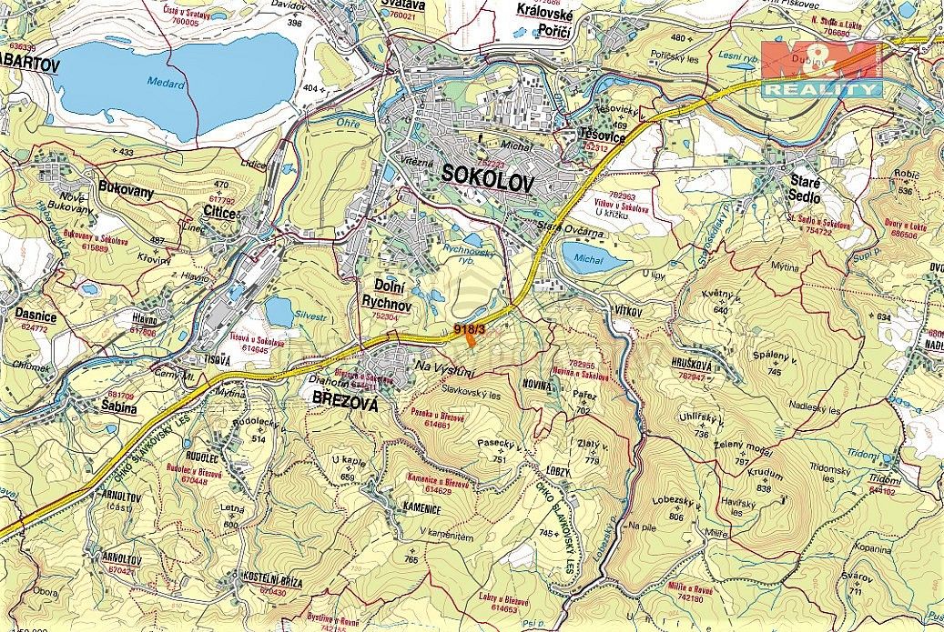 Les · Dolní Rychnov, okres Sokolov, Karlovarský kraj - 4