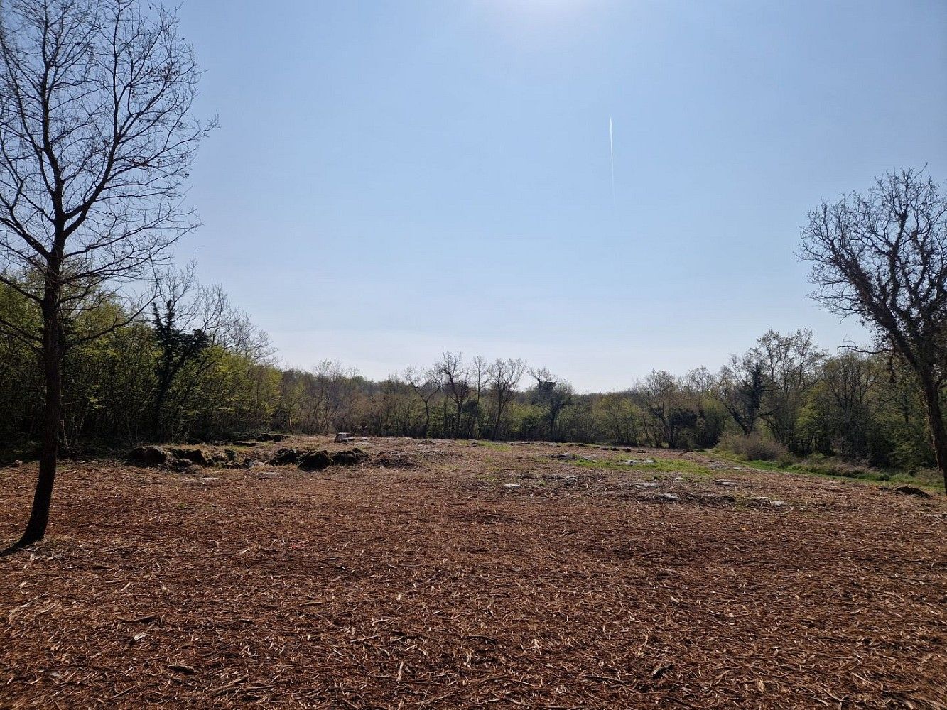Pozemek pro bydlení, 2 768 m²
