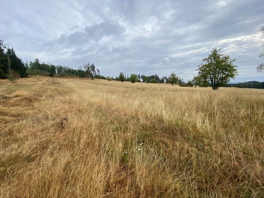 Prodej pozemek - Český Rudolec Matějovec, 15 087 m² - 5