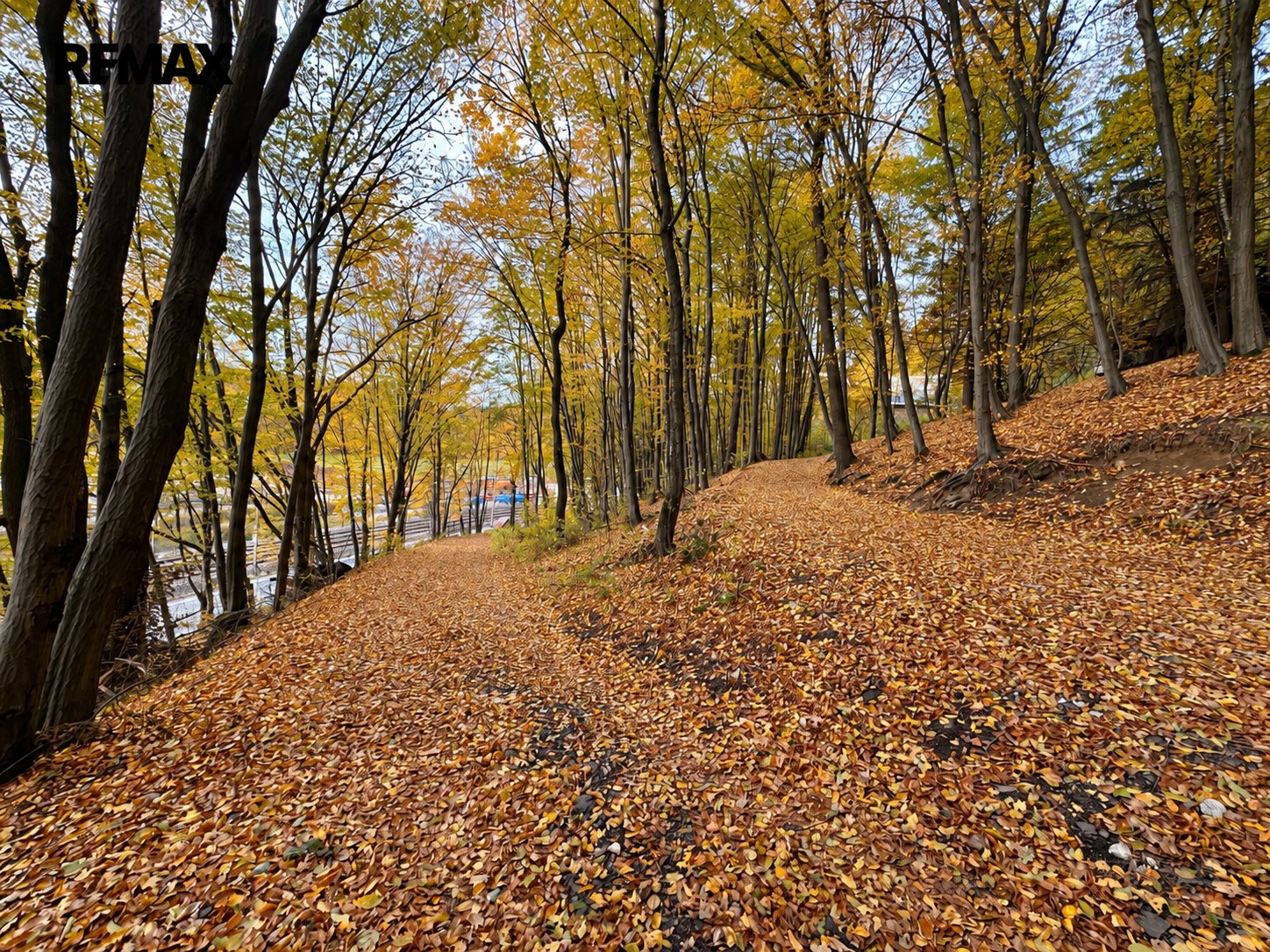 Chata · 38 m² · Bystřička - 3