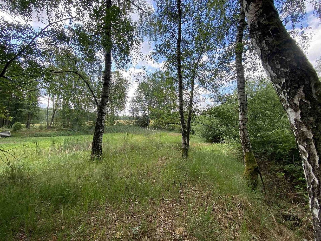 Prodej louka - Trhové Sviny - Otěvěk, okres České Budějovice, Jihočeský kraj - 5