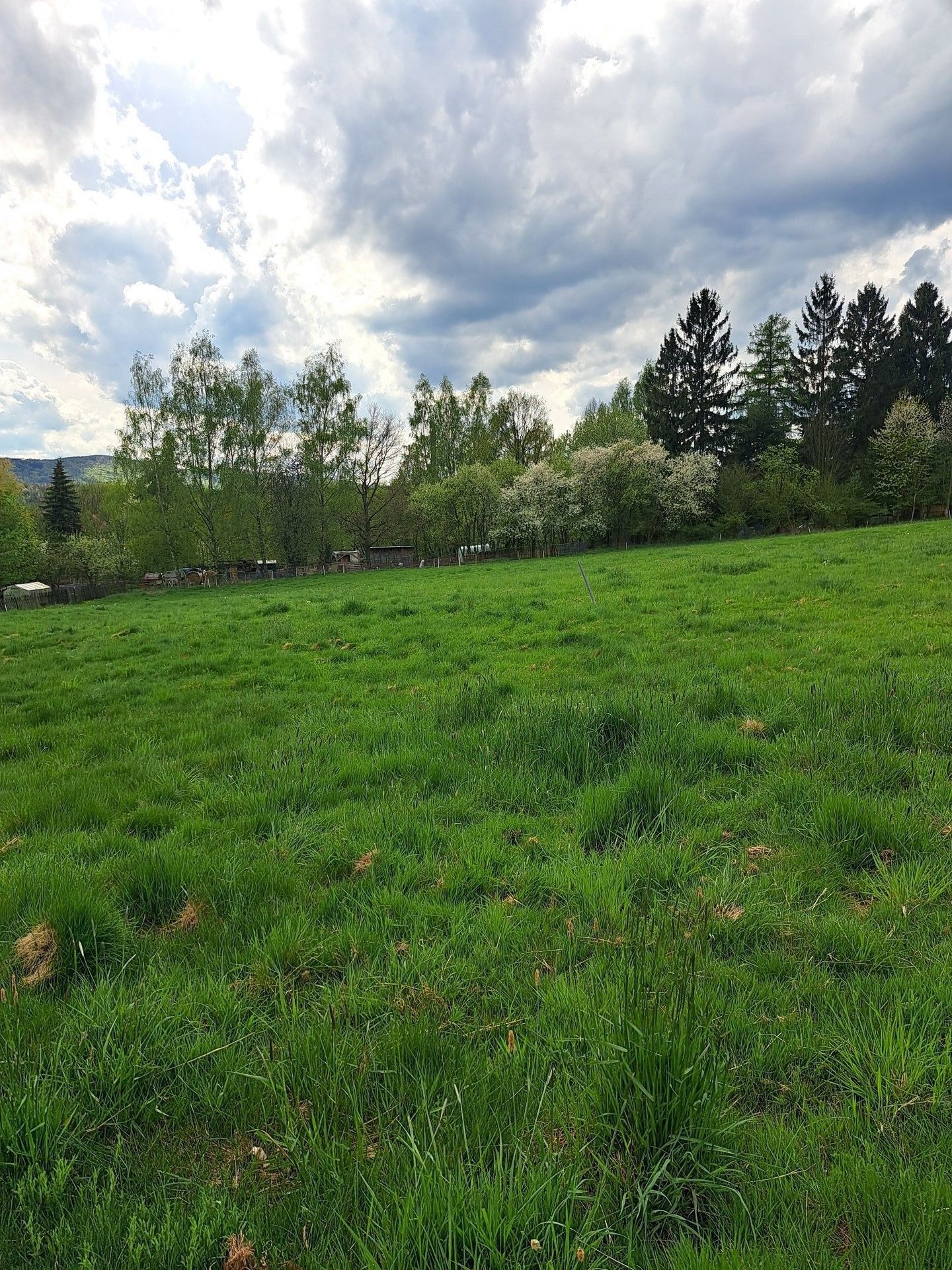 Prodej pozemek pro bydlení - Varnsdorf