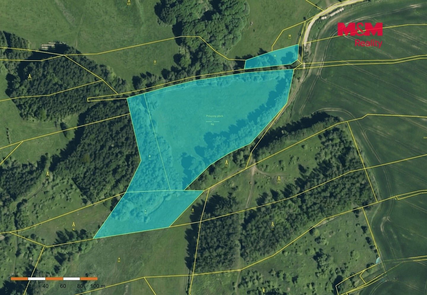 Prodej rybník - Horní Ves, okres Pelhřimov, Kraj Vysočina - 5