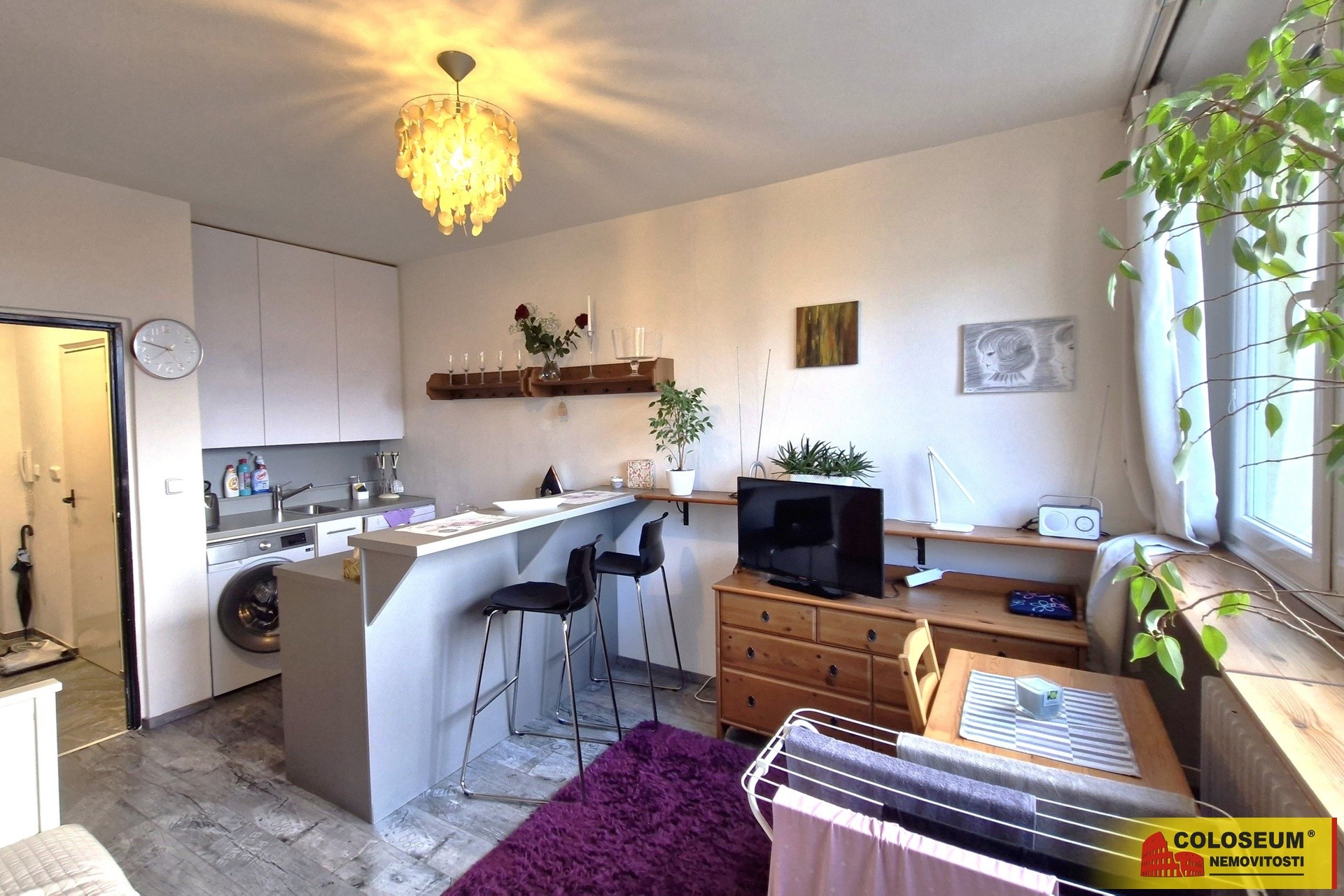 1+kk, Brno Lesná, 23 m² - 1