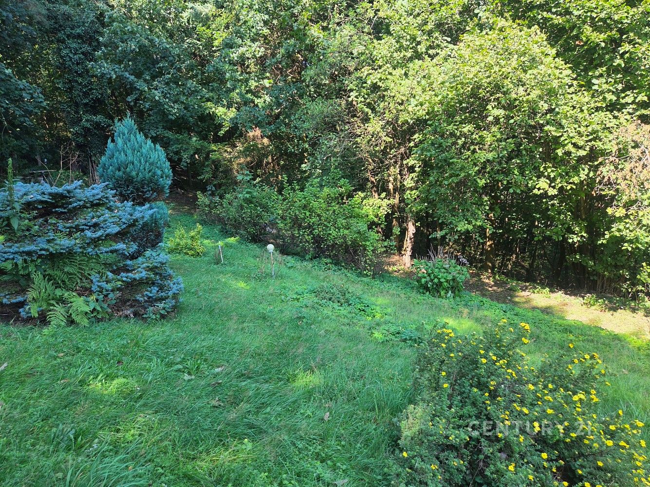 Chalupa · 55 m² · Chocerady, okres Benešov, Středočeský kraj - 4