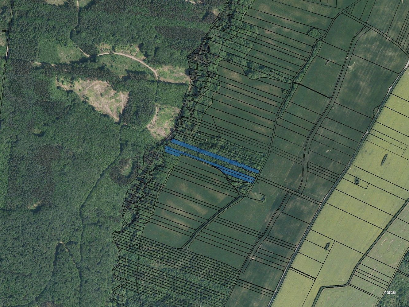 Les · Šarovy, okres Zlín, Zlínský kraj - 4