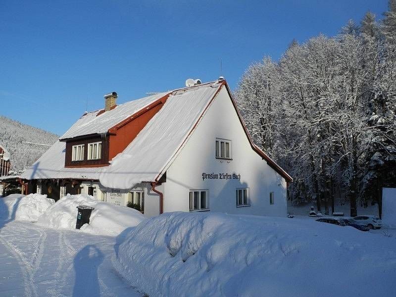 Chata · Desná II, Liberecký kraj - 3