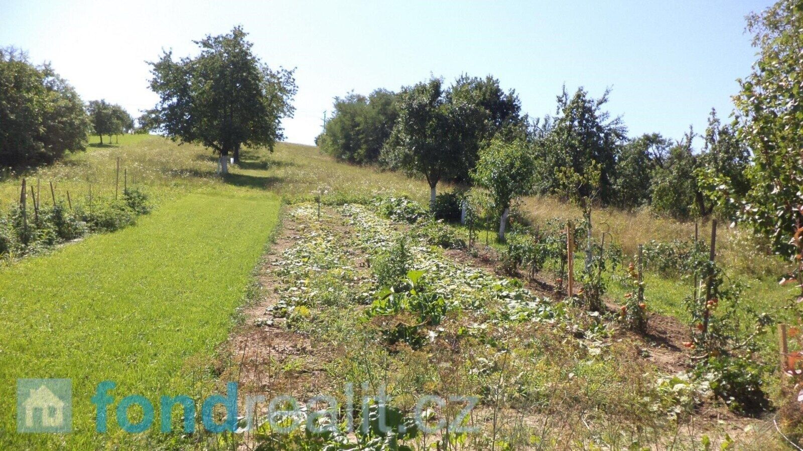Pozemek · 10 906 m² · Podolí - 4