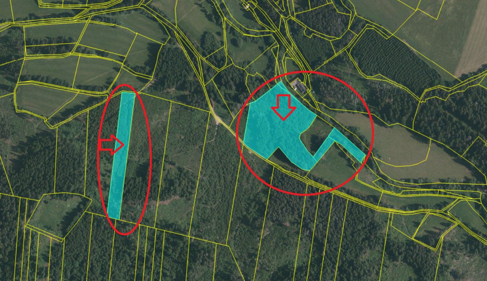 Prodej les - Františkov nad Ploučnicí, okres Děčín, Ústecký kraj - 2