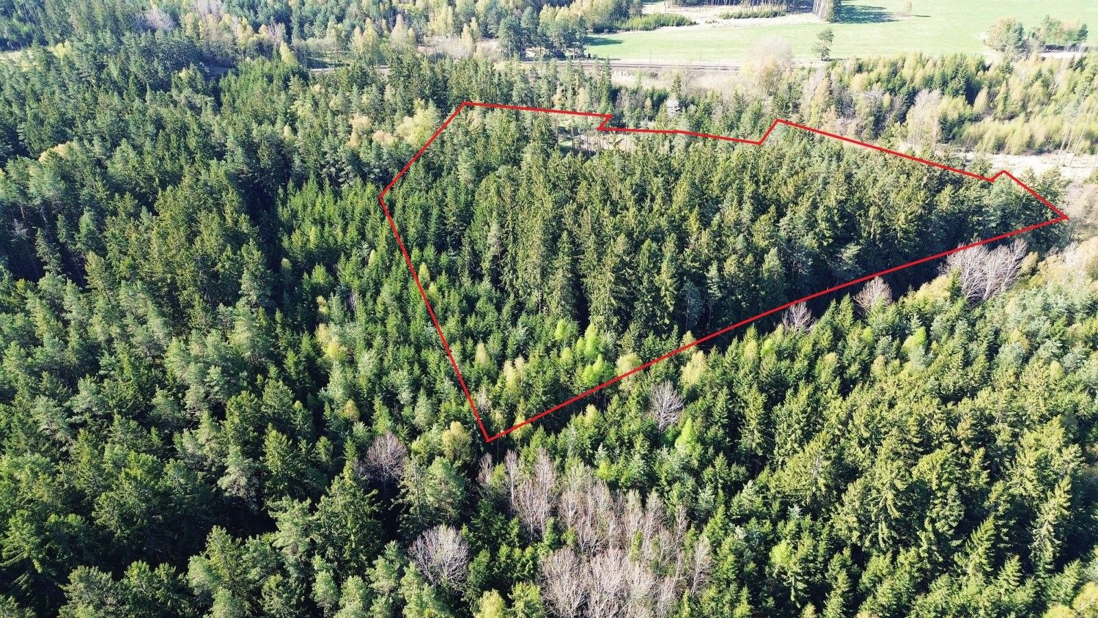 Les, 32 111 m²