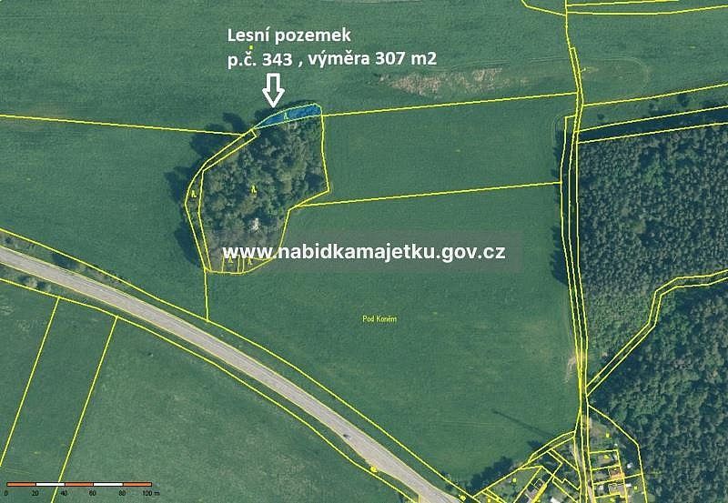 Prodej les - Černošín, okres Tachov, Plzeňský kraj - 2