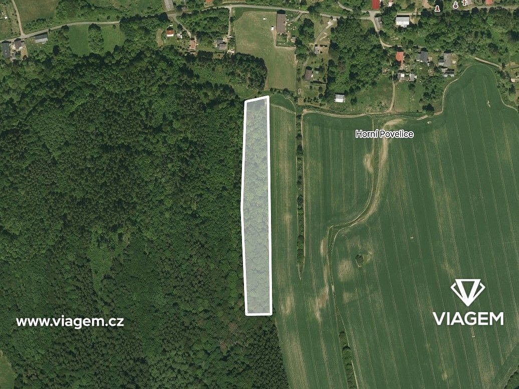Lesy, Liptaň, okres Bruntál, Moravskoslezský kraj - 2