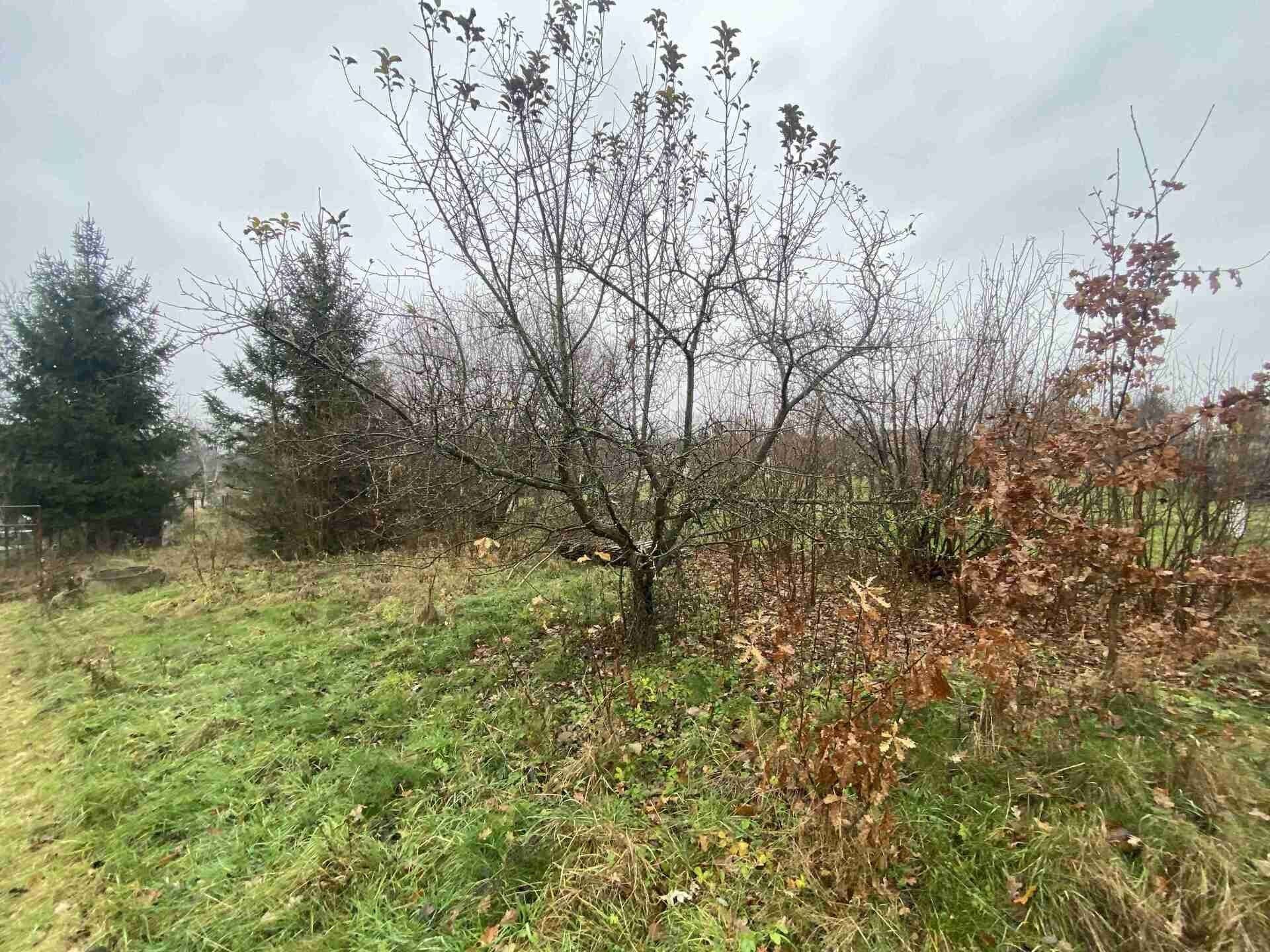 Prodej zahrada - Potěhy, 1 m²