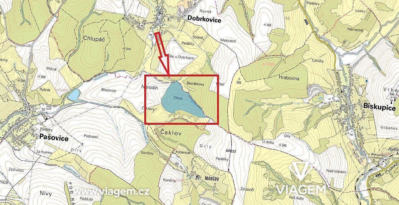 Les · Pašovice, okres Uherské Hradiště, Zlínský kraj - 3