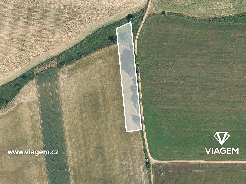 Zemědělský pozemek · Olešnice, okres České Budějovice, Jihočeský kraj - 2