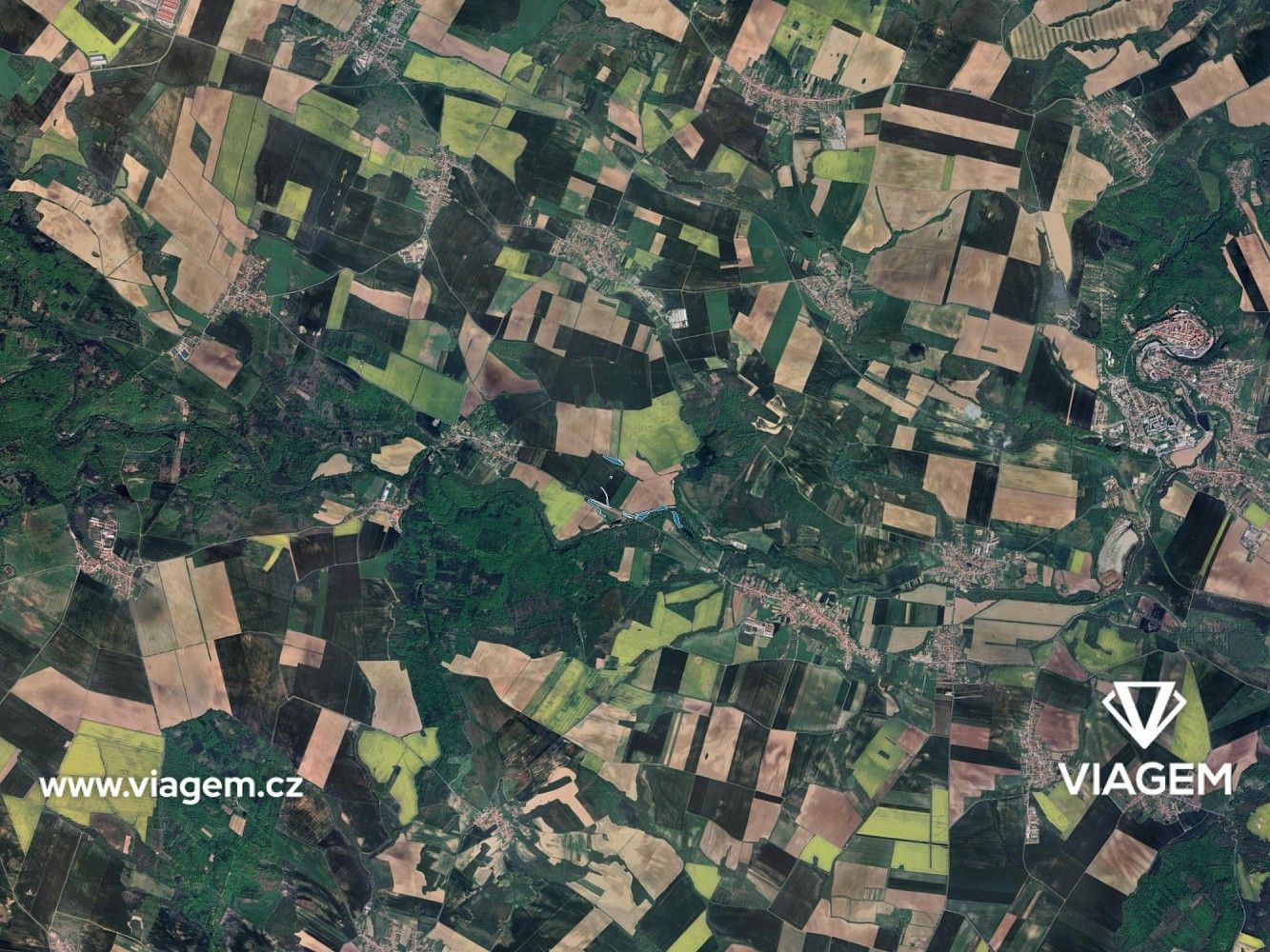 Les · Tulešice, okres Znojmo, Jihomoravský kraj - 3