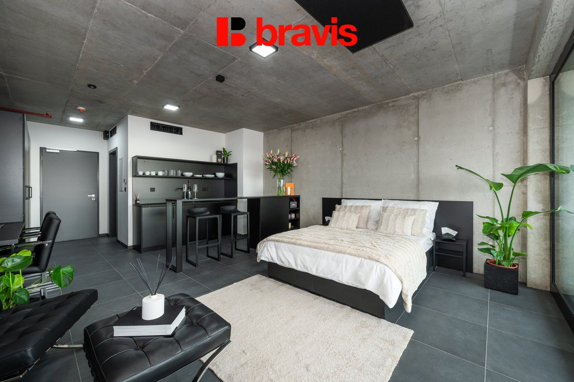 1+kk, Královopolská 3052, Brno Žabovřesky, 34 m² - 2