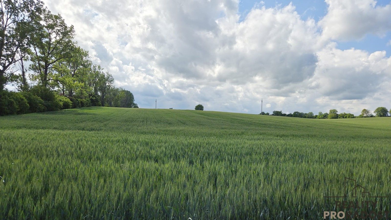 Zemědělský pozemek · 2 649 m² · Kyjov - 4